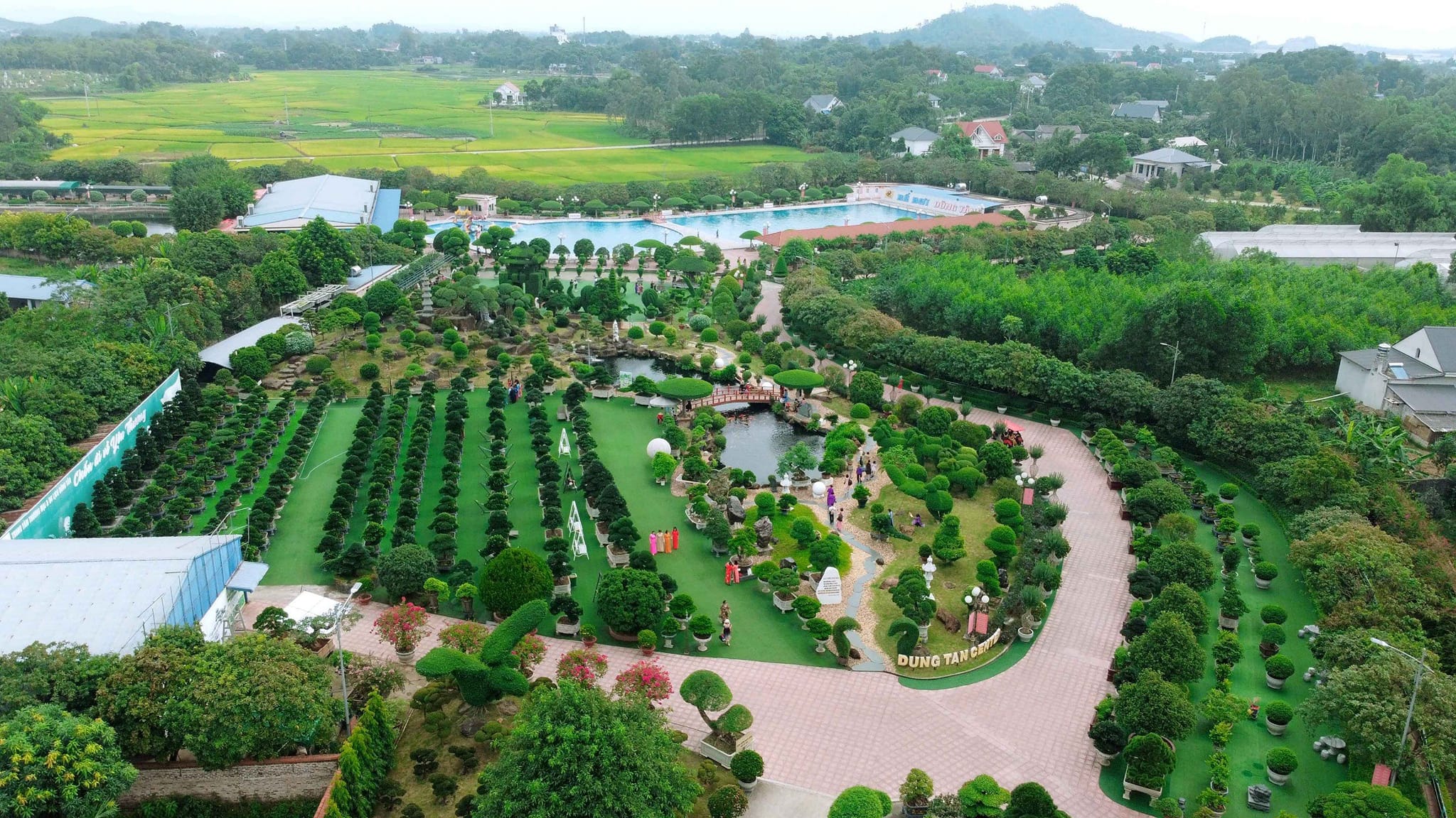 Đại gia ở Thái Nguyên “bê” toàn bộ dàn cây cảnh độc lạ về vườn nhà, thấy cây đẹp là “chốt đơn”